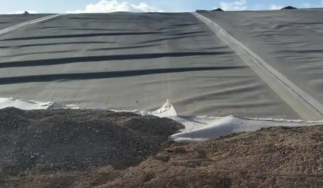 1741940280395450.png QQ20250314-161729.png