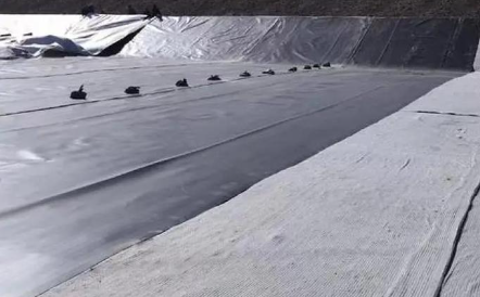 1765940240273672.png QQ20251217-105233.png